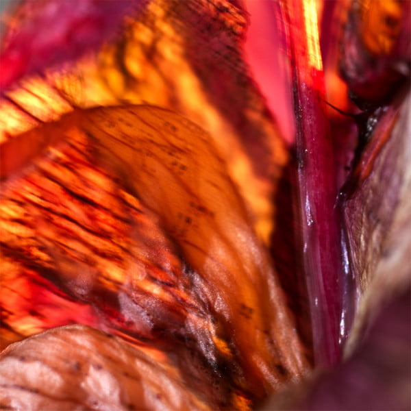 abstracte fotografie en tips abstracte fotografie en tips