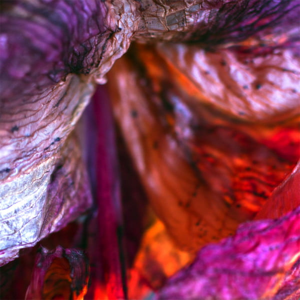abstracte fotografie en tips abstracte fotografie en tips